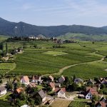 Domaine Bott-Geyl | Authentically Alsatian