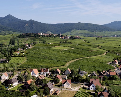 Read more about the article Domaine Bott-Geyl | Authentically Alsatian