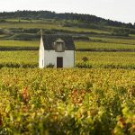 2018 vintage scores | Central France