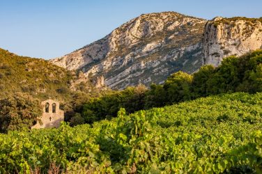 Read more about the article Domaine Gauby | Radical pioneer of fine, Roussillon wine!