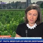 BFM Business Interview | Is natural wine a good investment?