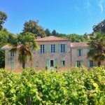 Château Belle-Vue | Where Petit Verdot reigns