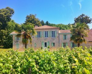 Read more about the article Château Belle-Vue | Where Petit Verdot reigns