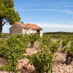 Fixed price highlights | Spotlight on the Rhône