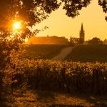 Discover Bordeaux | What is a second wine?