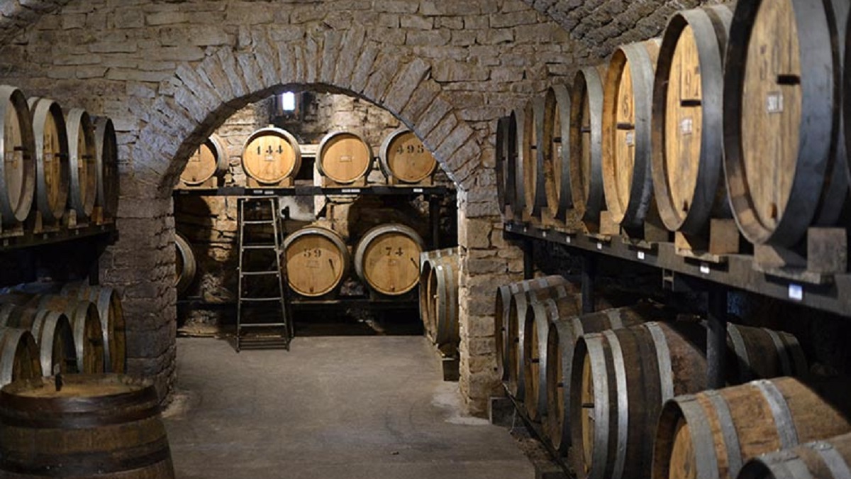 Read more about the article Domaine Berthet-Bondet | Jura tradition thriving