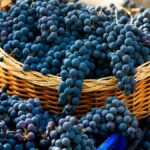 Mousy, volatile, brett, oxidation…features or defects?