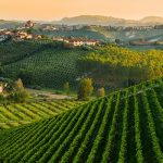 Italy in 10 wines