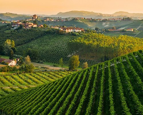 Read more about the article Italy in 10 wines