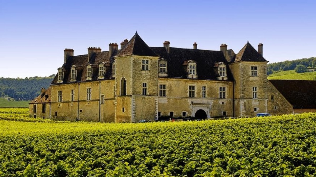 Read more about the article Why is it Château in Bordeaux and Domaine in Burgundy?