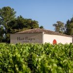 Haut-Bages Libéral | Agroforestry at a classic cru classé