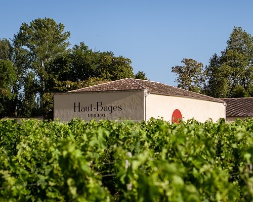 Read more about the article Haut-Bages Libéral | Agroforestry at a classic cru classé