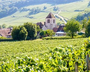Read more about the article Wine Guide | Champagne