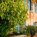 Château Pradeaux | Fine, cellaring wine from the heart of Provence