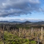 Patrick Bouju | The face of a new Auvergne