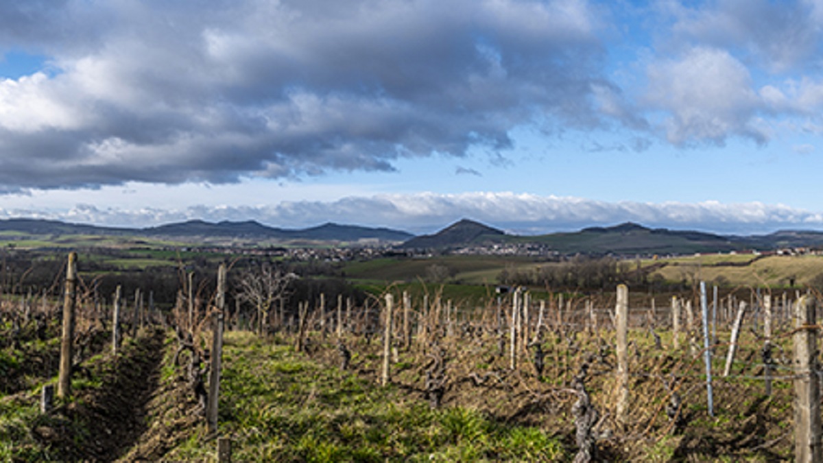 Read more about the article Patrick Bouju | The face of a new Auvergne