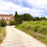 Domaine de la Tour du Bon | Natural beauty in Bandol