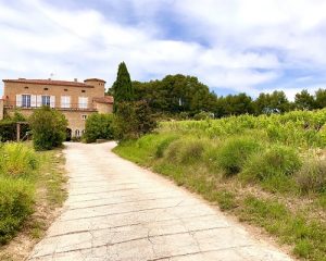 Read more about the article Domaine de la Tour du Bon | Natural beauty in Bandol