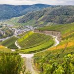 ‘Like we’ve gone through a war’ | Disastrous floods in Germany’s Ahr Valley