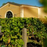 Clos des Lunes | Dry White Wine in Sauternes