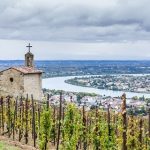 Top Rhône wines | First-half results 2021