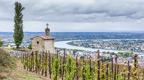 Read more about the article Top Rhône wines | First-half results 2021