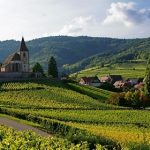 Top Alsace wines | First-half review 2021