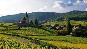 Read more about the article Top Alsace wines | First-half review 2021