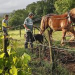 Château Le Puy | Bordeaux’s dark horse