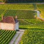 Appellation guide to Gevrey-Chambertin in Burgundy