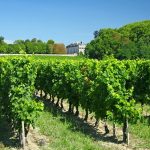The terroirs of Bordeaux