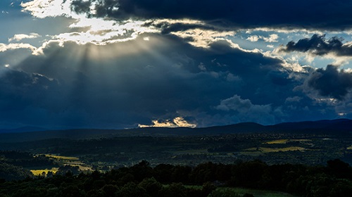 Read more about the article Domaine Gros-Tollot | Burgundy meets the south