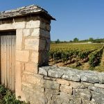 A guide to Burgundy wines: what on earth is a climat?