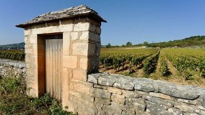 Read more about the article A guide to Burgundy wines: what on earth is a climat?