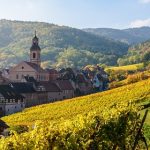 Domaine Albert Boxler | ‘Hard work makes fine wine’