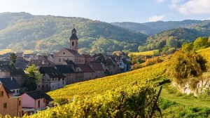 Read more about the article Domaine Albert Boxler | ‘Hard work makes fine wine’
