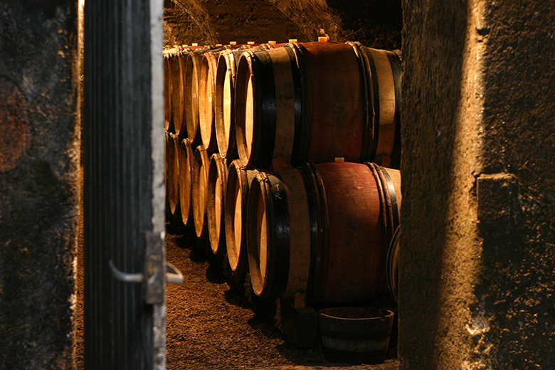 Domaine Chandon Briailles barrels in its winey