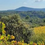 A trip to the Languedoc, part 1
