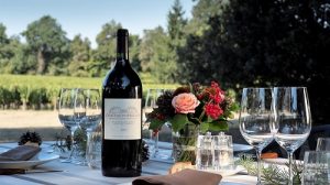 Read more about the article Château de Ferrand | Winery to watch in Saint-Emilion