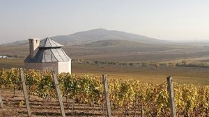 Read more about the article Disznókő Winery | Hungary for noble wines