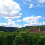 Chantal Lescure | ‘Living terroir, authentic wine’