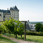 The ultimate guide to Loire Valley appellations