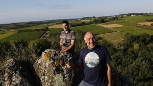 Read more about the article Domaine Ogereau | Terroir that talks