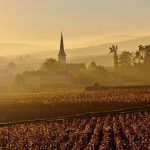 Best of Burgundy | Our selection