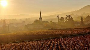 Read more about the article Best of Burgundy | Our selection