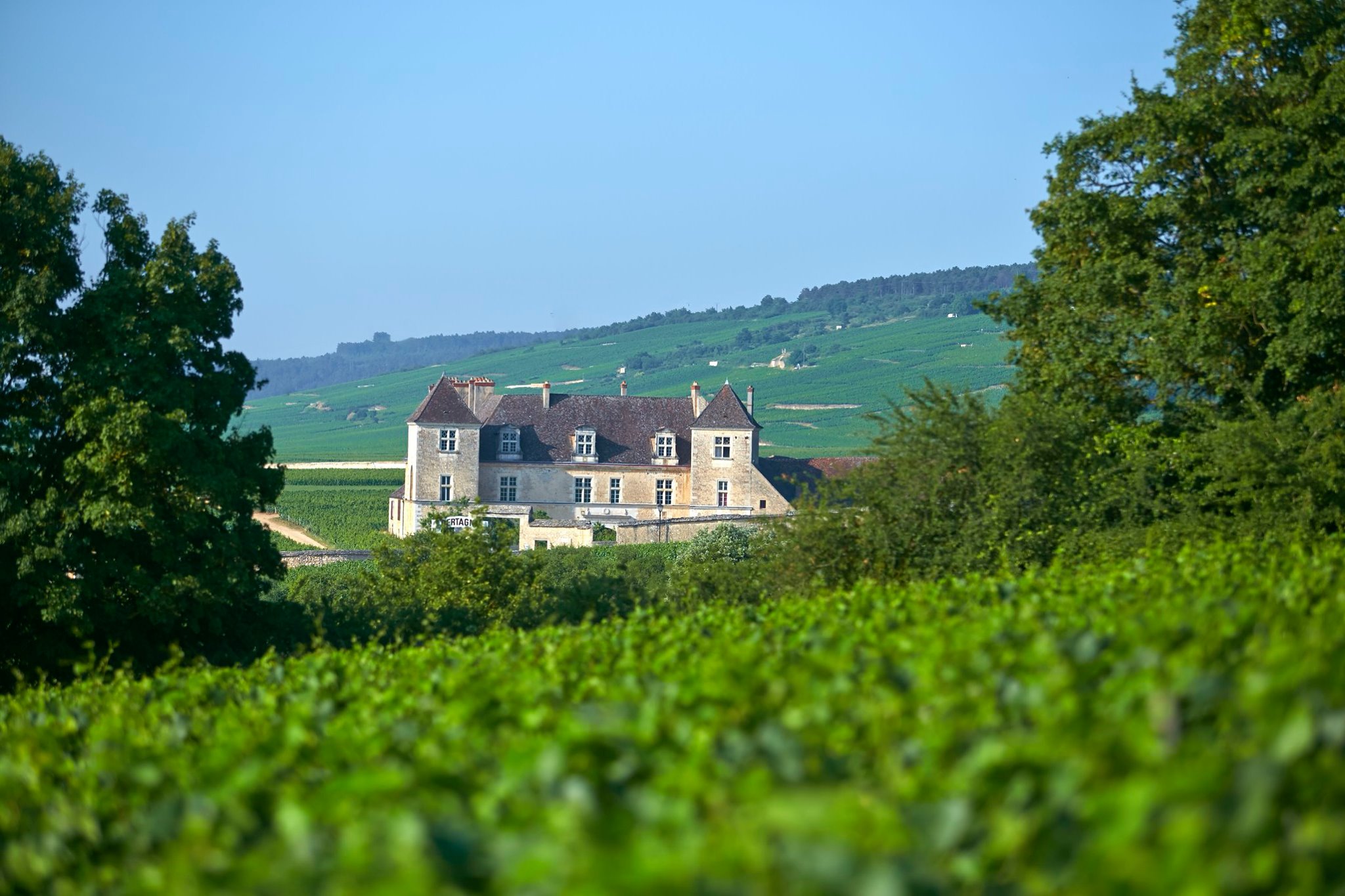 domaine joseph drouhin burgundy