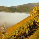 Domaine Zind-Humbrecht | Alsace’s haute-couture winery