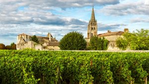 Read more about the article The lowdown on Bordeaux’s 2019 vintage