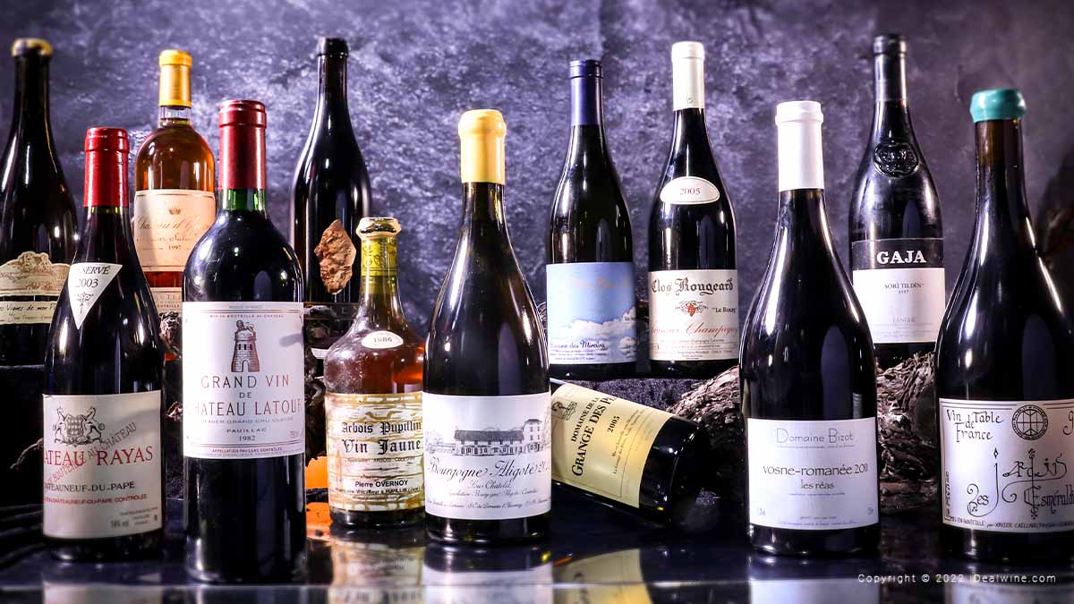 Read more about the article Private Collection | A cellar for the senses