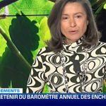BFM Business Interview | The biggest trends in wine investment